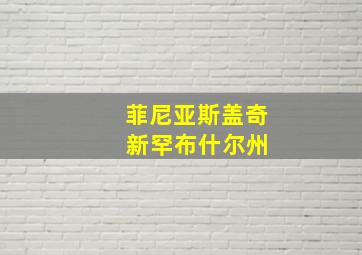 菲尼亚斯盖奇 新罕布什尔州